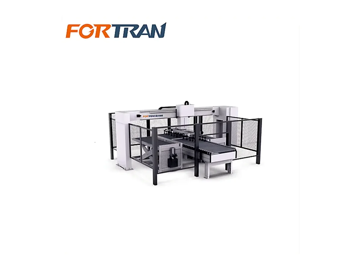 Gantry Automatic Infeed and Outfeed System